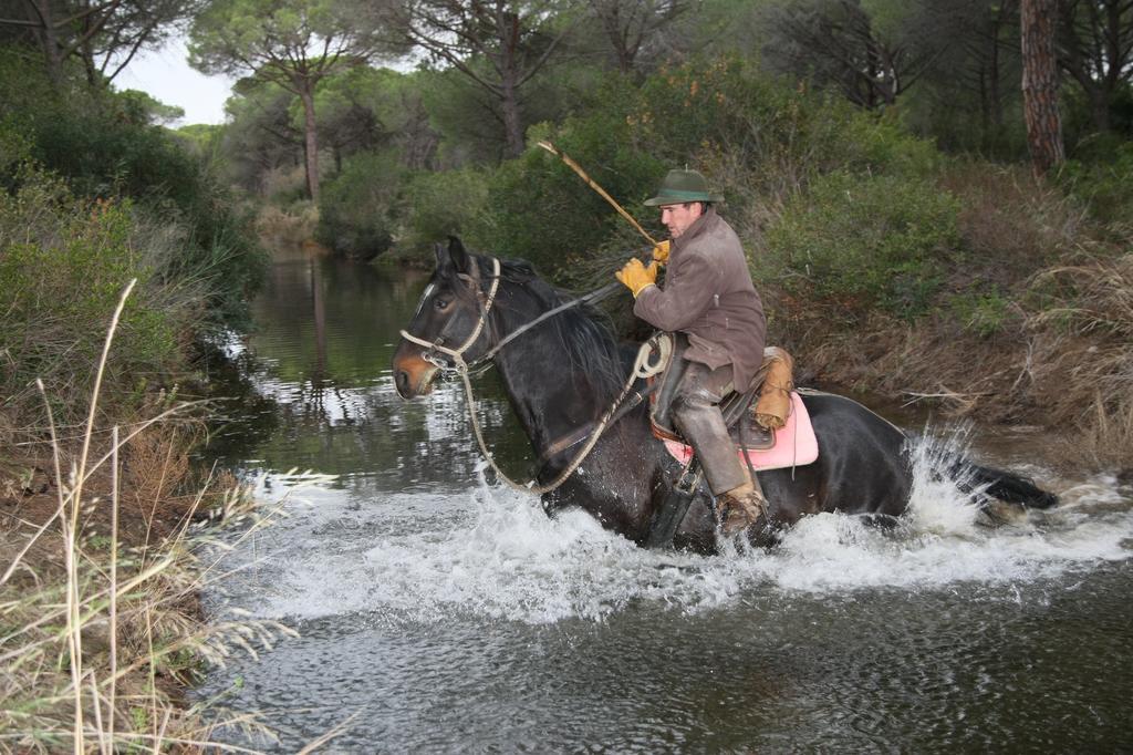 Country Resort Le Due Ruote ألبيريزي المظهر الخارجي الصورة