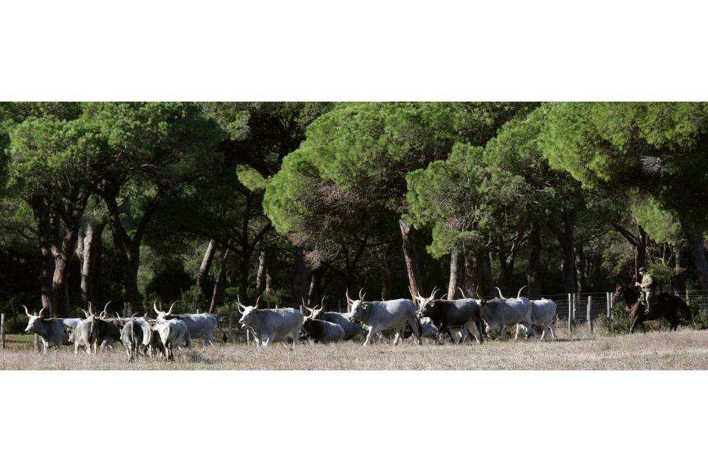 Country Resort Le Due Ruote ألبيريزي المظهر الخارجي الصورة